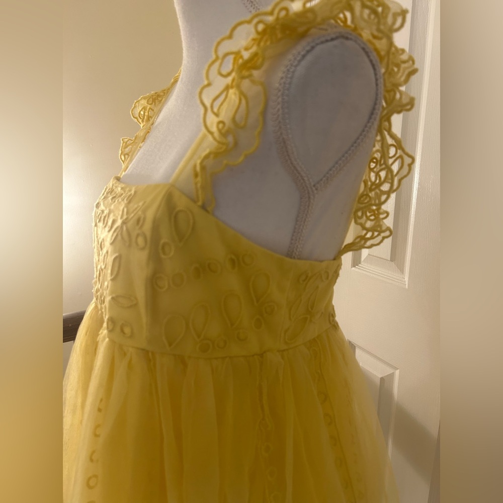 Anthropologie Let Me Be Eyelet Tulle Mini Dress NWT! - Picture 13 of 16